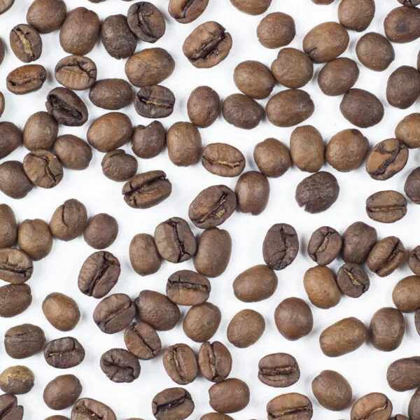 BookNoFees: مقهى – MTRM Roast Kávéműhely és Bemutatóterem – Budapest – MTRM Roast ورشة قهوة وصالة عرض، الصورة 1