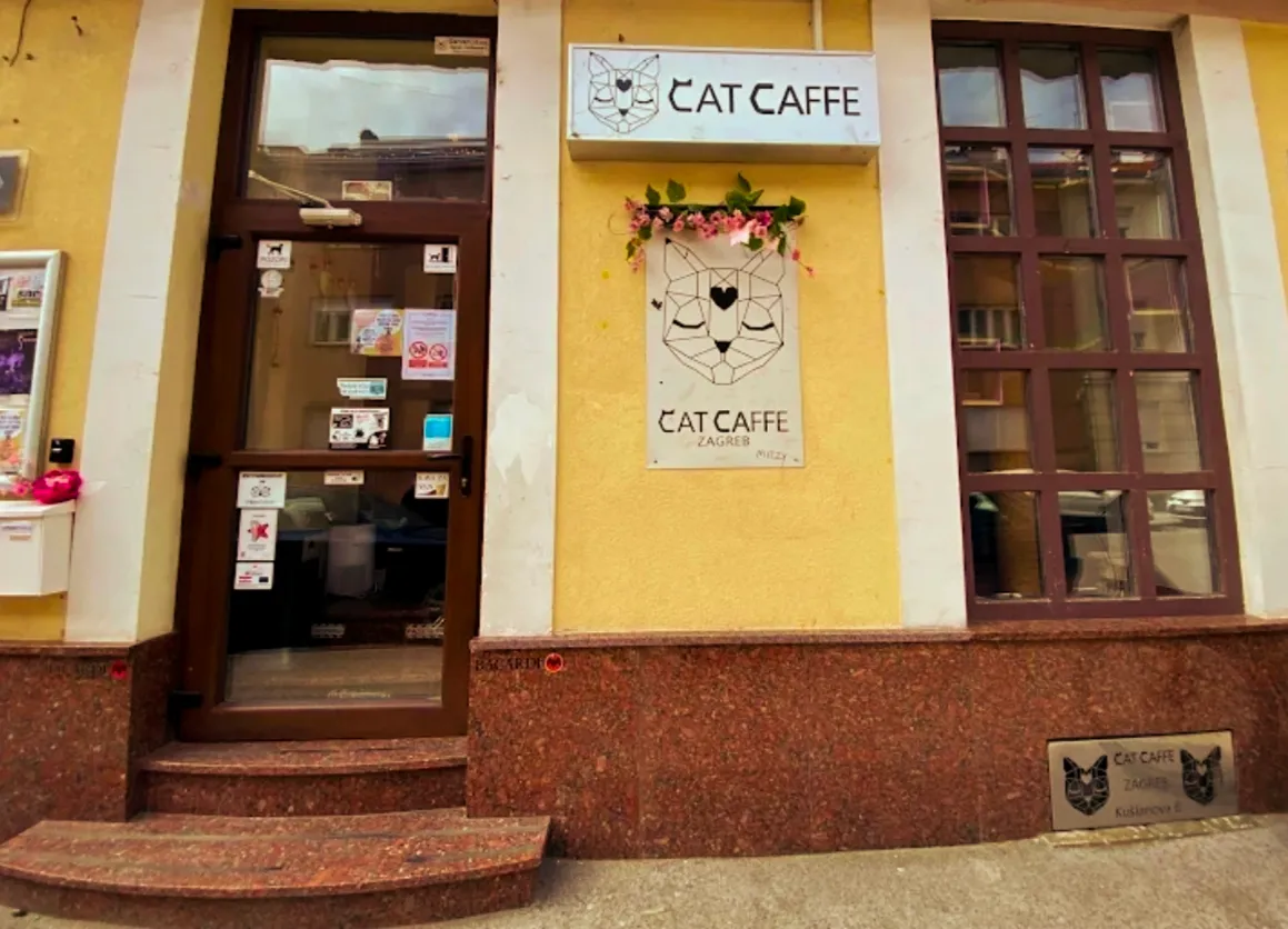 BookNoFees: مقهى – Cat Caffe – Zagreb – Cat Caffe، الصورة 1