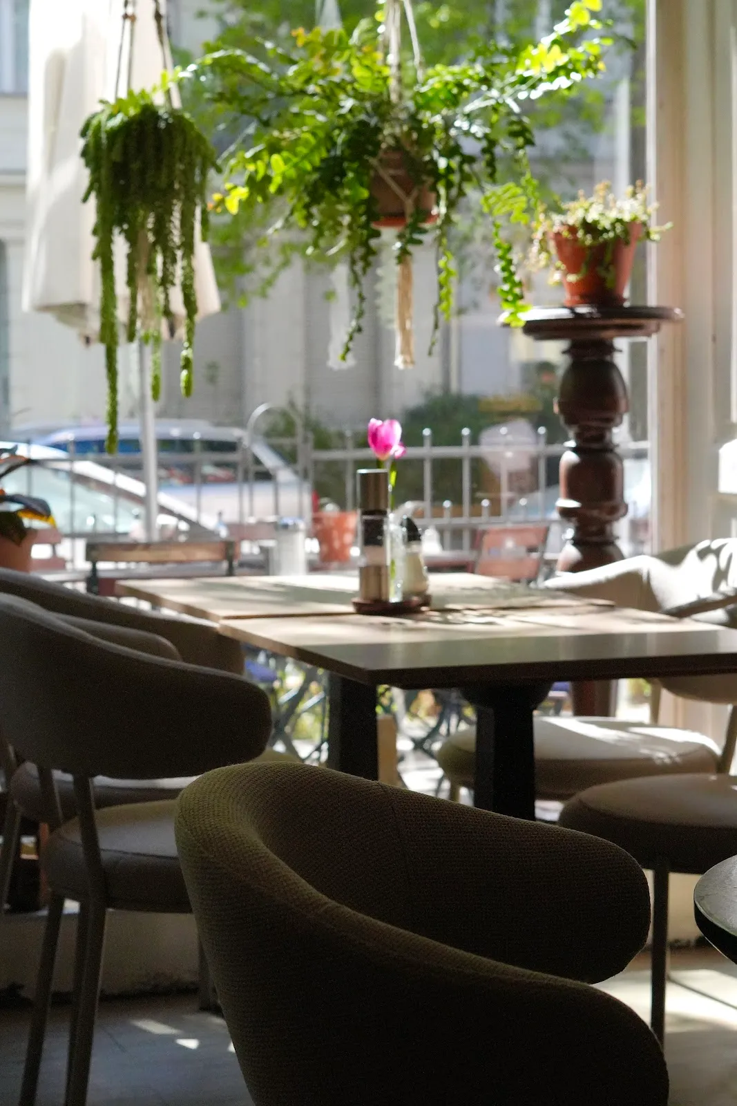 BookNoFees: مقهى – Café Behring – Berlin – Café Behring، الصورة 1