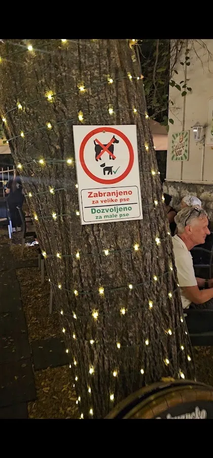BookNoFees: مقهى – Caffe Galerija Priča – Belgrade – Caffe Galerija Priča، الصورة 2