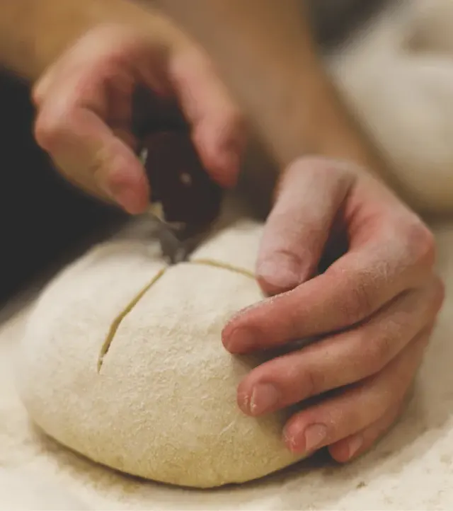 BookNoFees: مخبز – Triticum Micropanificio Agricolo – Rome – Triticum Micropanificio Agricolo، الصورة 3