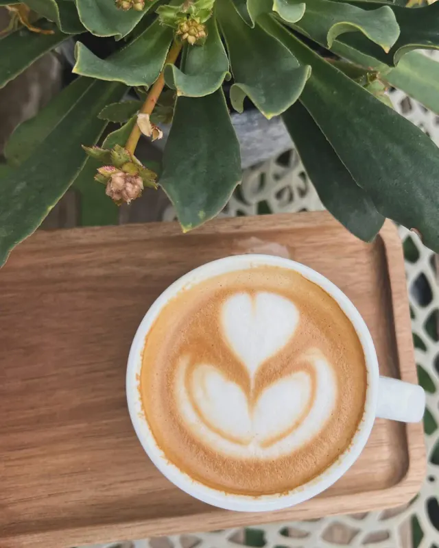BookNoFees: مقهى – Cafe Kachel – Vienna – Cafe Kachel، الصورة 2
