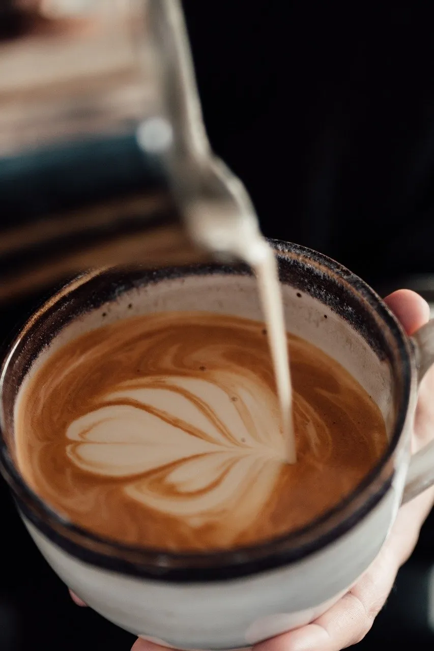 BookNoFees: مقهى – Cafe Fusion – Copenhagen – Cafe Fusion، الصورة 1